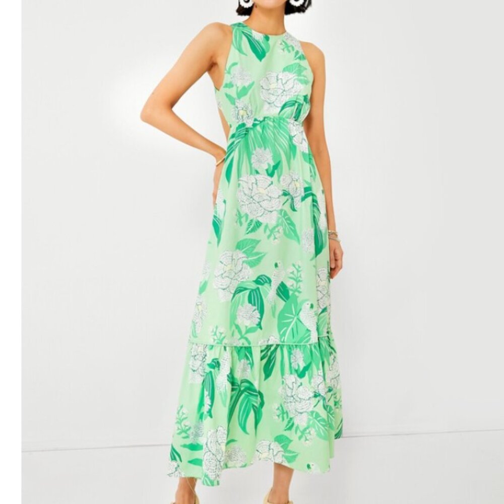 FARM RIO Dewdrop Floral Green Midi Dress